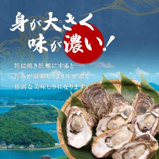 S002-019_岩牡蠣　約3ｋg　約3人前【先行受付】