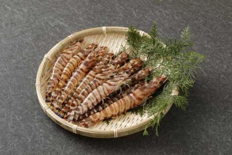 S002-005_旬彩セット(活き車海老・活きあわび・活きサザエ・殻出し生うに・天然塩)