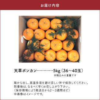 S142-001_天草ポンカン 約5kg箱【先行受付】