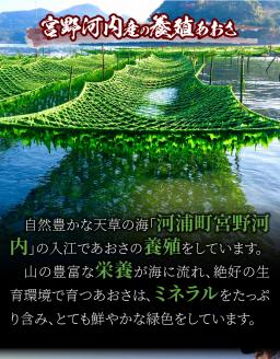 S100-001_天草特産乾燥あおさ25g　6個セット