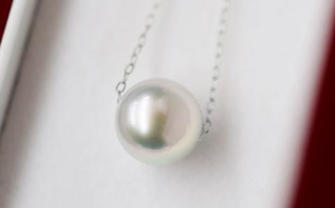 S101-324_天草産 9mm - 9.5mm ネックレス あこや真珠 ナチュラル 1粒 スルー K10 【K10WG】 K10WG