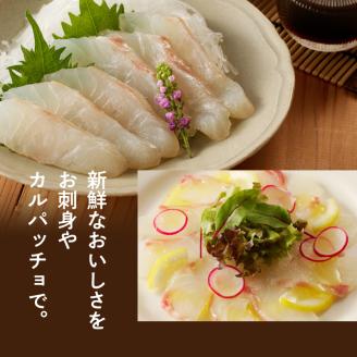 S106-023_真鯛の詰め合わせセット【firesh】