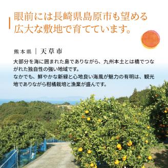 S110-001_熊本県天草産　肥の豊5kg　19～20玉〈先行受付〉