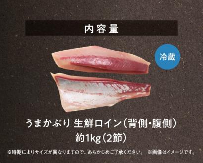 S137-005_【天草育ち】活じめ！うまかぶり生鮮ロイン2節 約1kg（切るだけ、手間いらず）