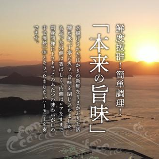 S137-011_【天草育ち】活じめ！うまかぶりたたき2節　約700g（切るだけ、手間いらず）