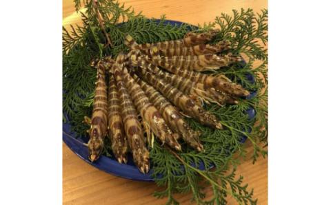 S123-001_えびすセット（活き車海老、緋扇貝、真牡蠣の詰め合わせ）