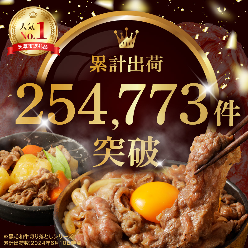 S001-001_A4～A5等級 黒毛和牛 切り落とし 1kg（500g×2P） 1kg