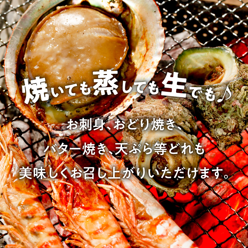 S002-004_蒼海セット(活き車海老・活きあわび・活きサザエ・天然塩)