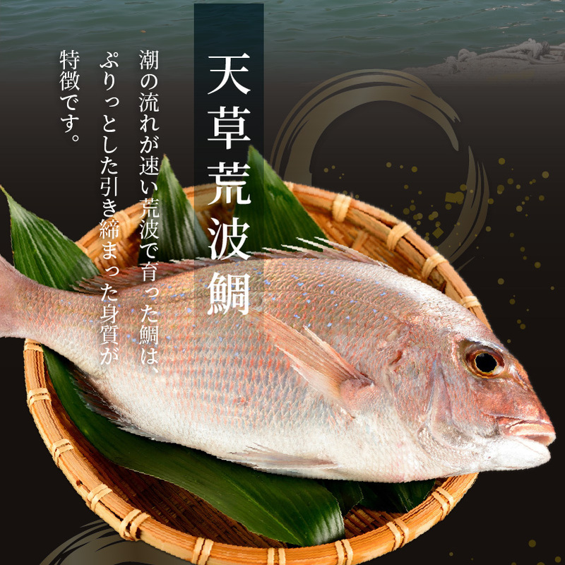 S006-012_漁師の沖めし真鯛(70g)×5袋 70g×5袋