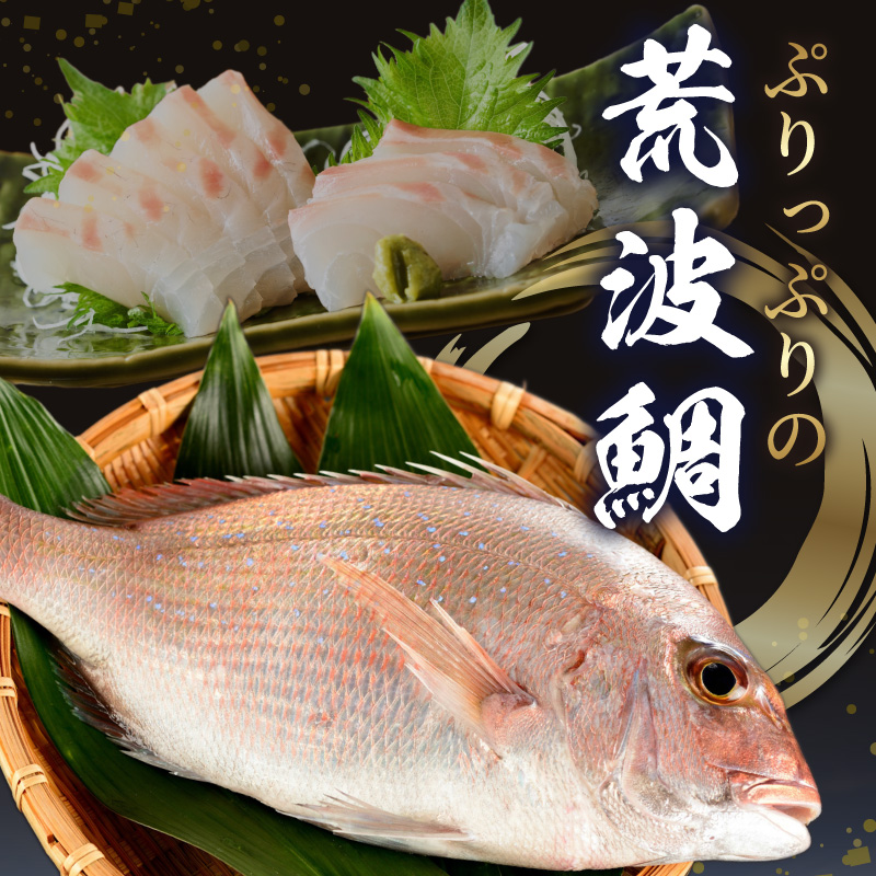 S006-016_鯛かぶと煮5個セット