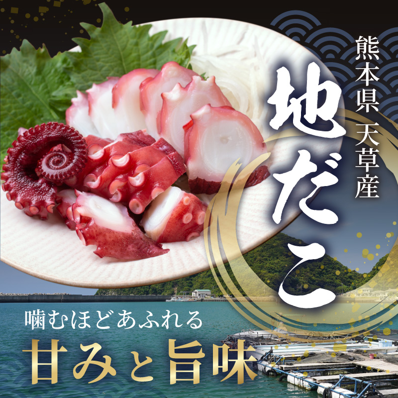 S006-018_地だこやわらか煮