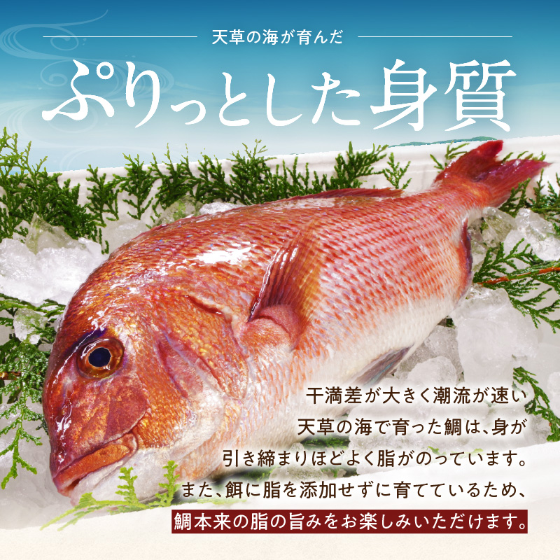 S010-083_真鯛ごま漬け4食セット