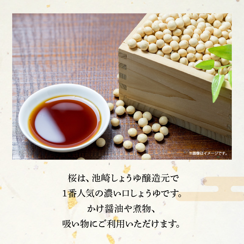 S022-005_池崎しょうゆ醸造元 大人気 濃い口しょうゆ 2本セット 2本セット（濃い口）