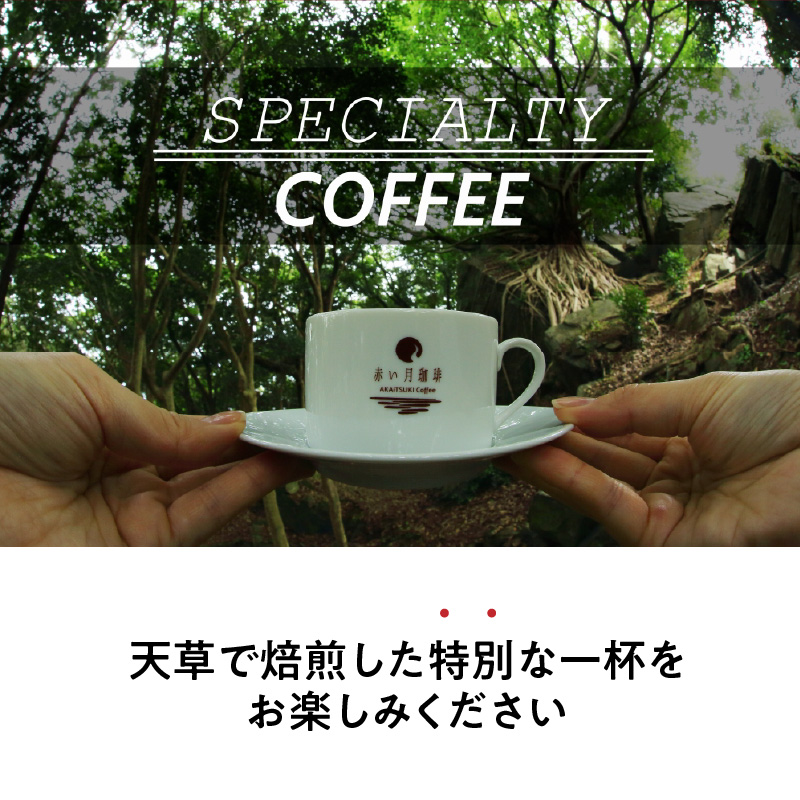 S025-T03_【全12回珈琲毎月定期便】自家焙煎した赤い月珈琲ドリップバッグ10個セット　計1,200g