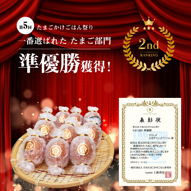 S038-004_天草 タマンゴ 10個 卵