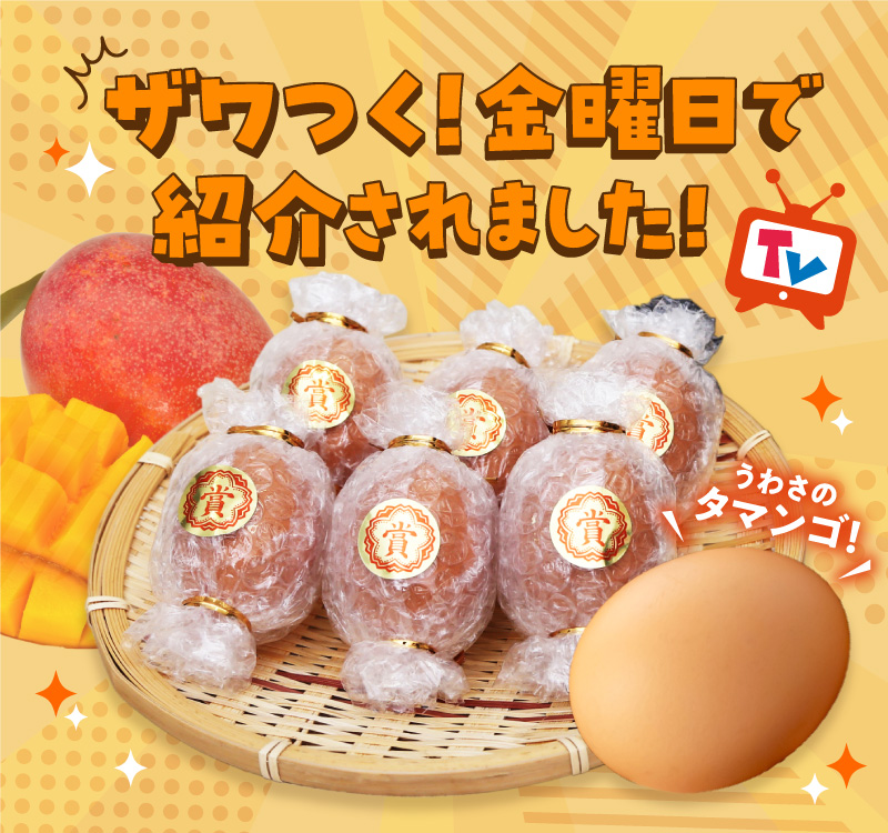 S038-T03_【定期便3回】天草 タマンゴ 6個 卵