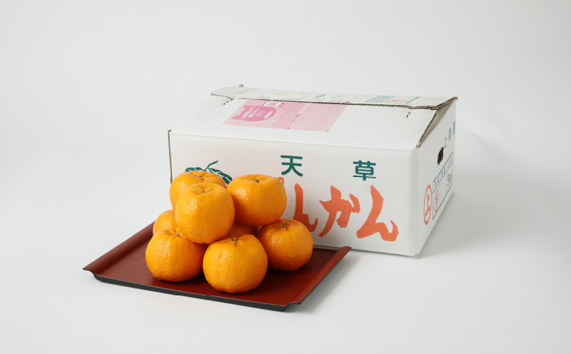 S040-007_農家の手摘み100年ポンカン 約5kg〈先行受付〉