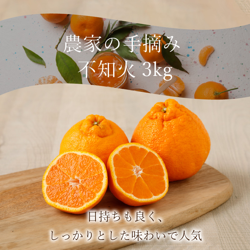 S040-010_農家の手摘み不知火 約3kg〈先行受付〉