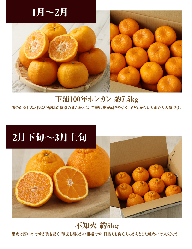 S040-014_【訳あり 定期便3回】天草 下浦地区の農家が愛情込めて育てた柑橘3種〈先行予約〉