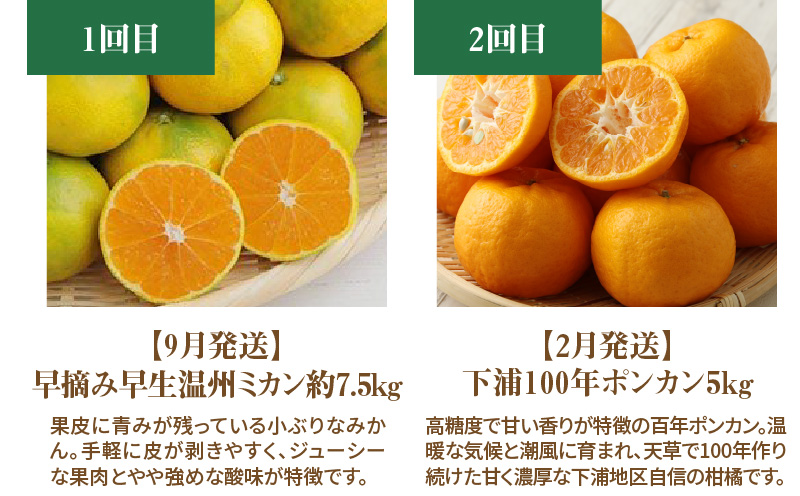 S040-017_【定期便5回】厳選！天草 下浦地区の農家が愛情込めて育てた柑橘5種〈先行予約〉