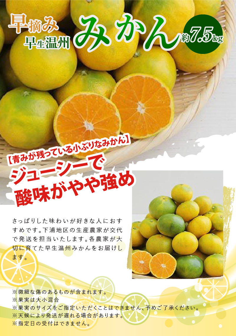 S040-020_早摘み 早生温州みかん 約7.5kg 〈先行受付〉