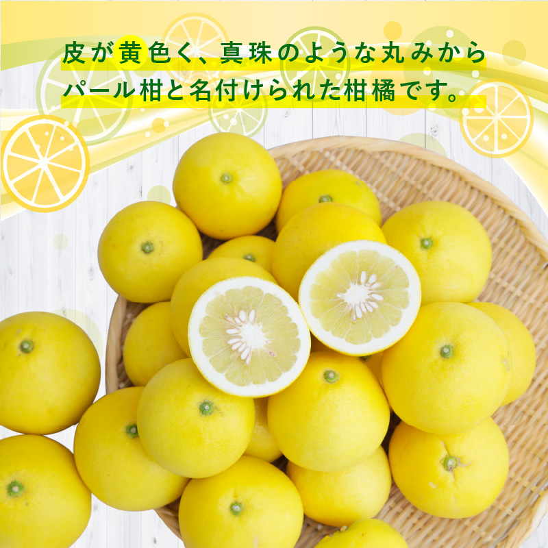 S040-022_農家の手摘み パール柑 7.5kg以上〈先行予約〉 7.5kg以上