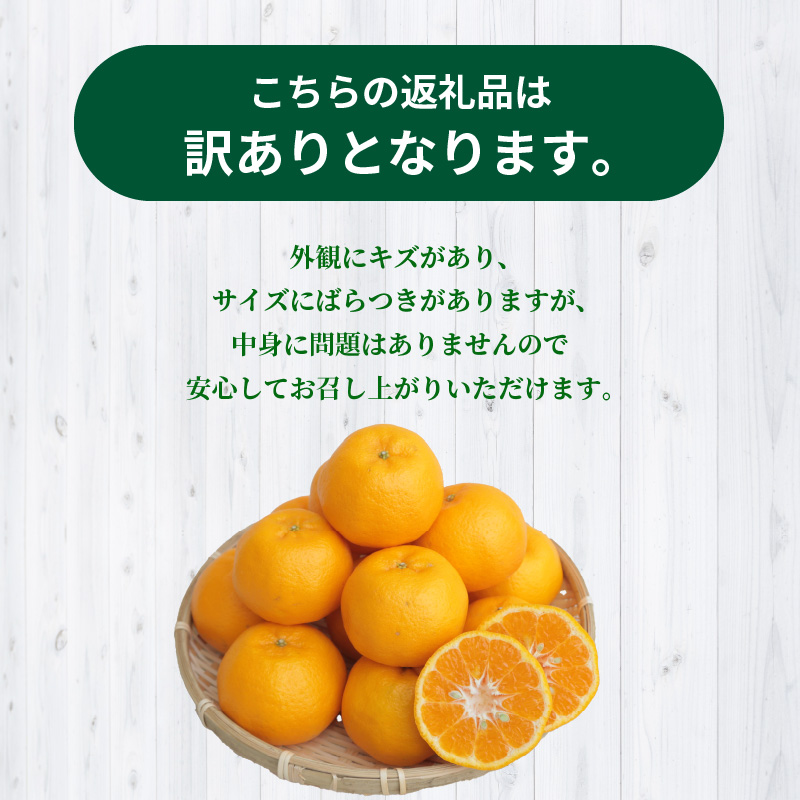 S040-027_【訳あり】農家の手摘み 太田 ポンカン 家庭用約5kg