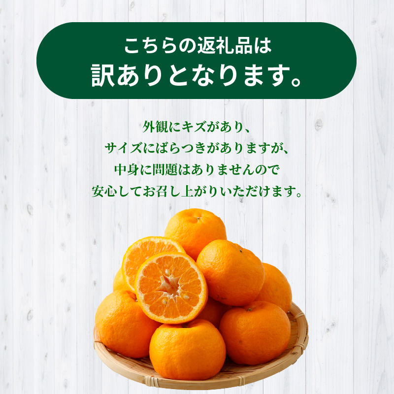 S040-028_【訳あり】農家の手摘み　天草ポンカン　家庭用　5kg