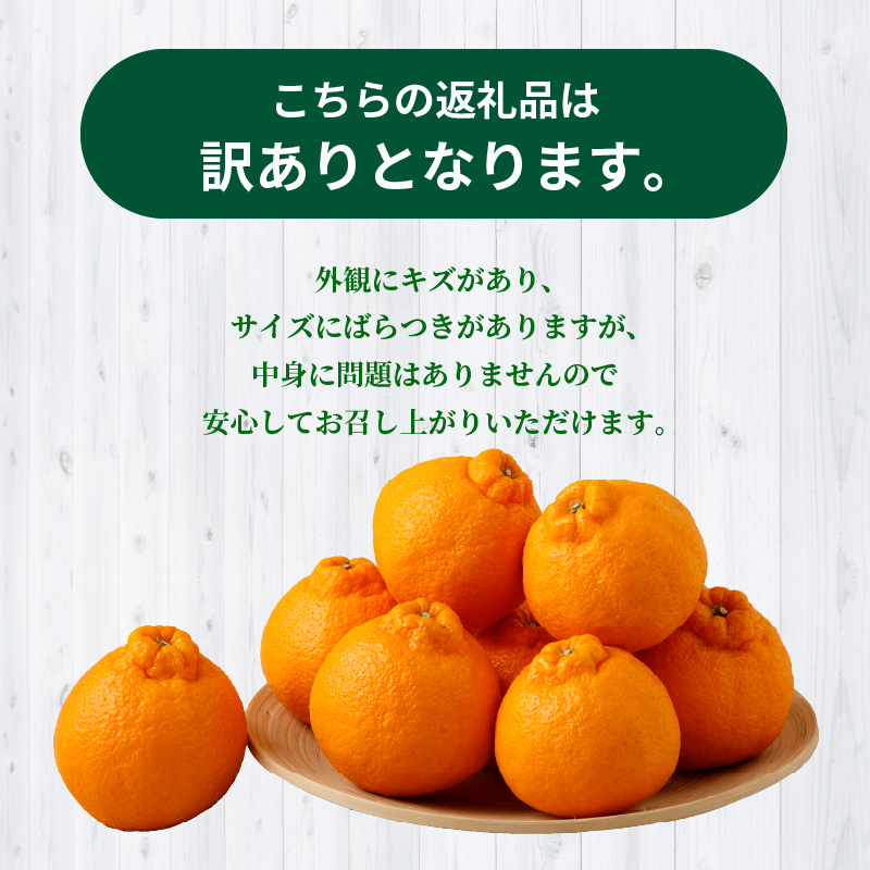 S040-030-02_【訳あり】≪2月発送≫農家の手摘み　不知火　家庭用　3kg ≪2月発送≫