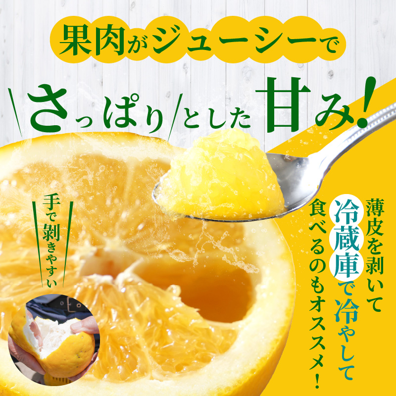 s040-032-05_≪5月発送≫農家の手摘み　あまくさ木成り晩柑　約5kg 5月発送