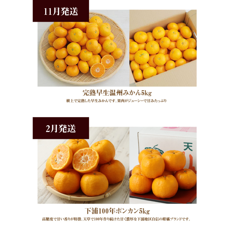 S040-T09_【お試し定期便】天草・下浦の旬の柑橘3種Bセット