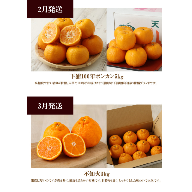 S040-T11_【お試し定期便】天草・下浦の旬の柑橘3種Dセット