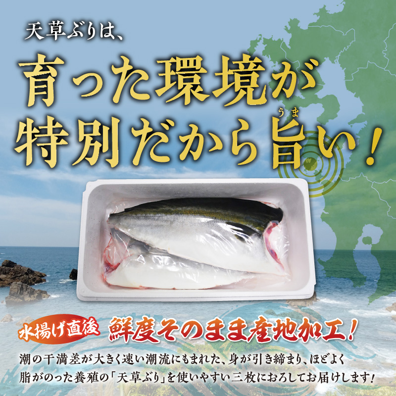 S042-001_ブリフィレ 半身 約3kg(約1.5kg×2枚)ぶり 鰤【先行予約】