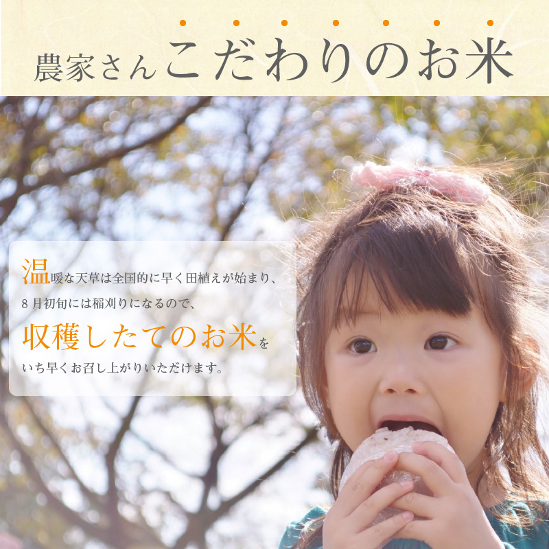 S050-T04_【6ヶ月定期便】コシヒカリ 精米 5kg