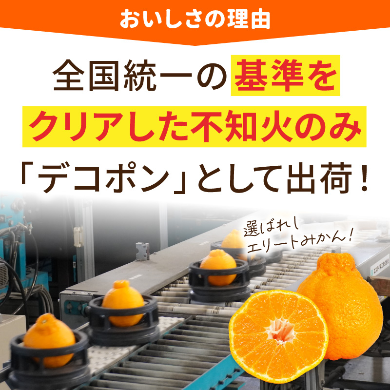 S053-002_天草産 デコポン 3kg〈先行予約〉