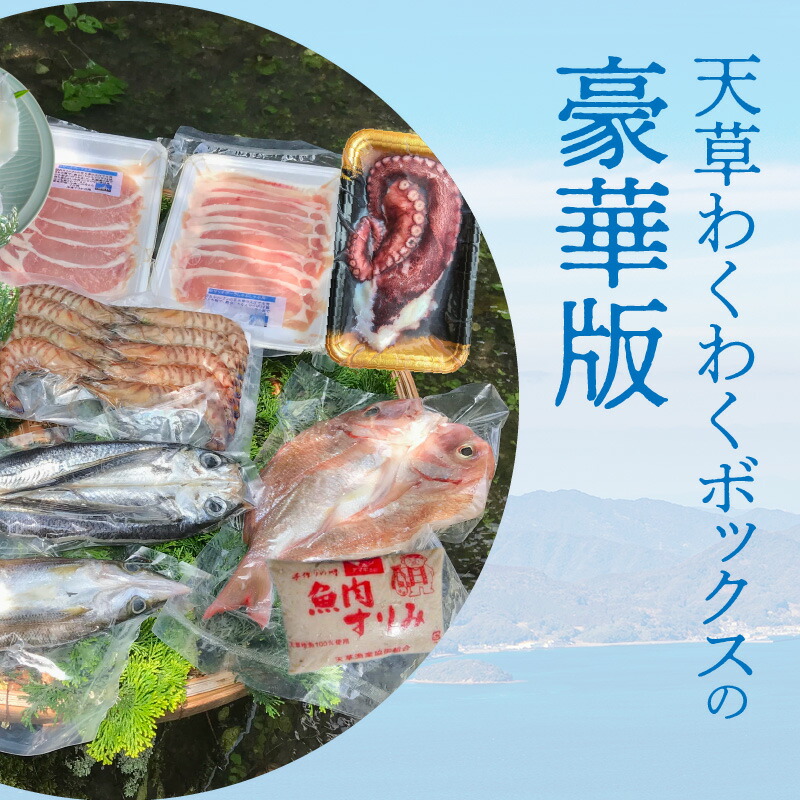 S059-010_天草わくわくボックスデラックス