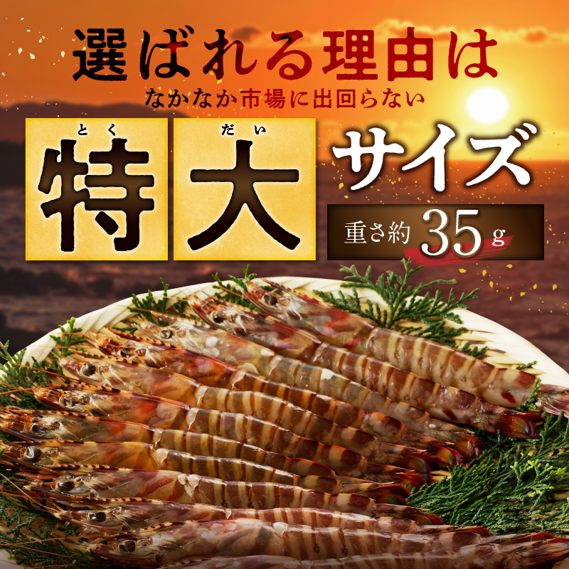 S059-024_特大 車エビ 1パック