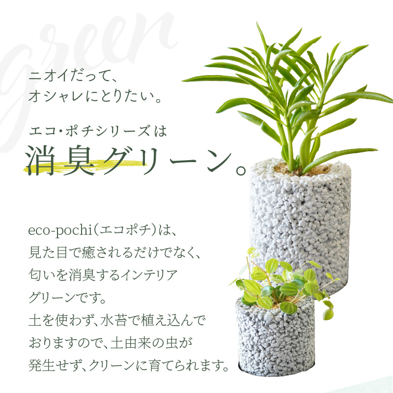 S060-110_【ふるさと納税限定】初心者の人にもお勧め！エコ・ポチ　トライアルセット