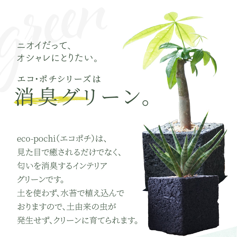 S060-111_【ふるさと納税限定】初心者の人にもお勧め！エコ・ポチ　トライアルセット・ミニ