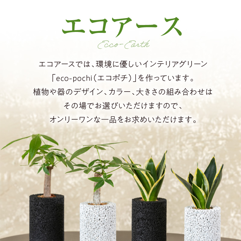 S060-116_エコ・アースでご利用可能なお買い物券　5,000円分