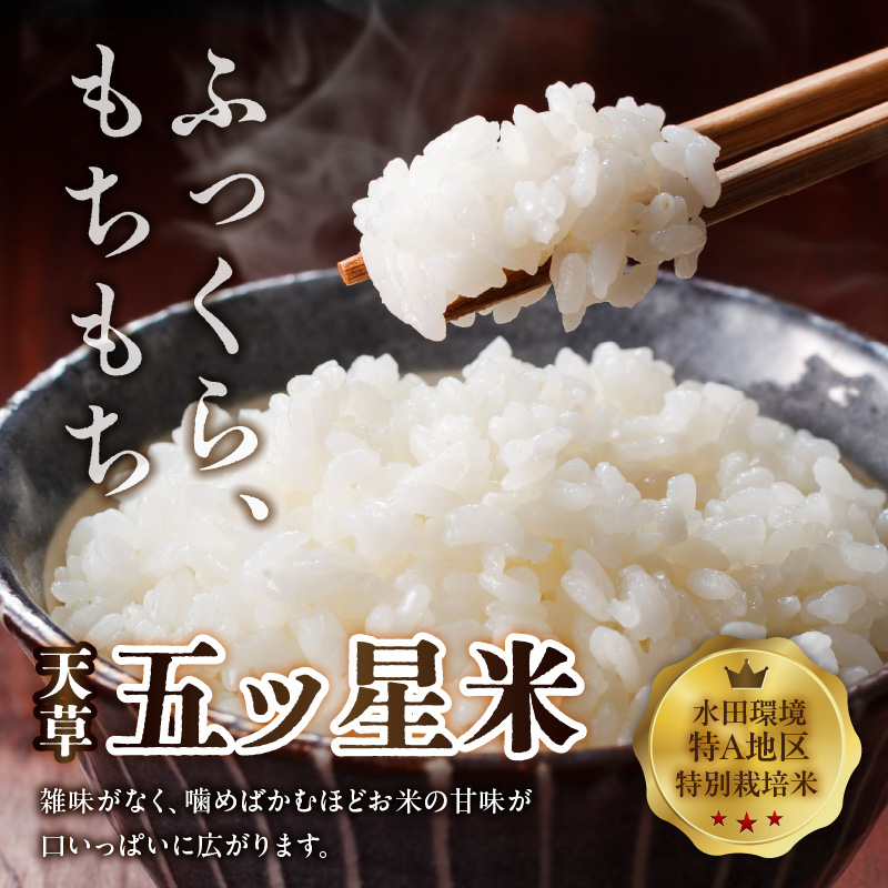 S061-003_天草五ッ星米卵かけご飯セット(お米 5kg 卵 30個)