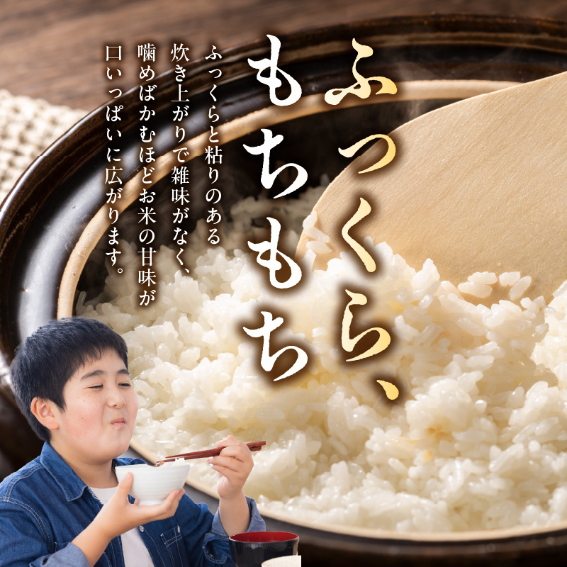 S061-009_令和7年産 特別栽培米 天草五ッ星米 精米 5kg