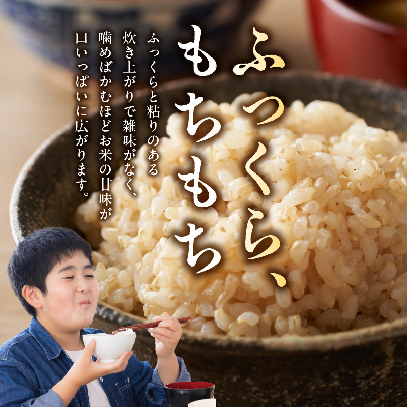 S061-T07_【3ヶ月定期便】特別栽培米 天草五ッ星米 玄米 5kg