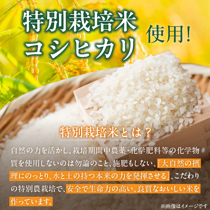 S067-025_【令和7年産】特別栽培米　健幸米10kg（5kg×2袋） 10kg