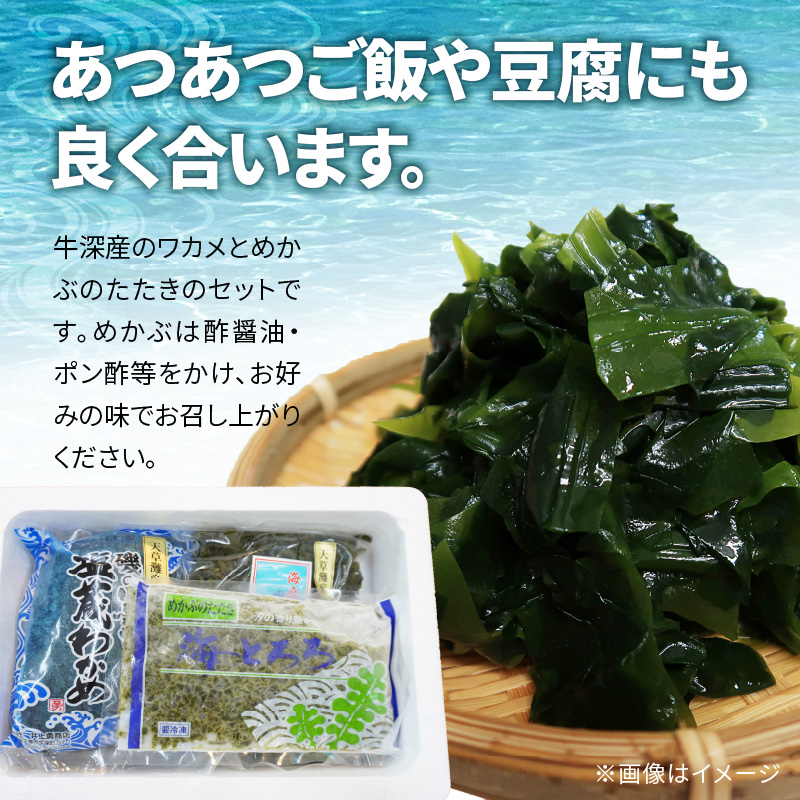 S073-001_めかぶとわかめのミネラルセット(めかぶ・ワカメ・茎ワカメ等)