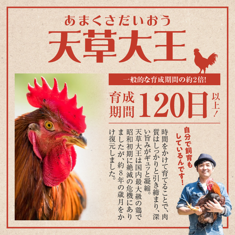 S081-018_天草大王 BBQセット