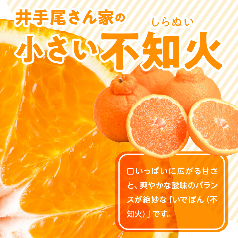 S086-007_訳あり 不知火 約 9kg 数量限定〈先行予約〉