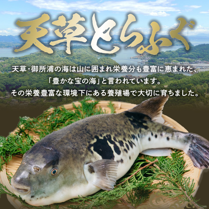 S106-024_とらふぐの宅配セット 3～4人前【firesh】