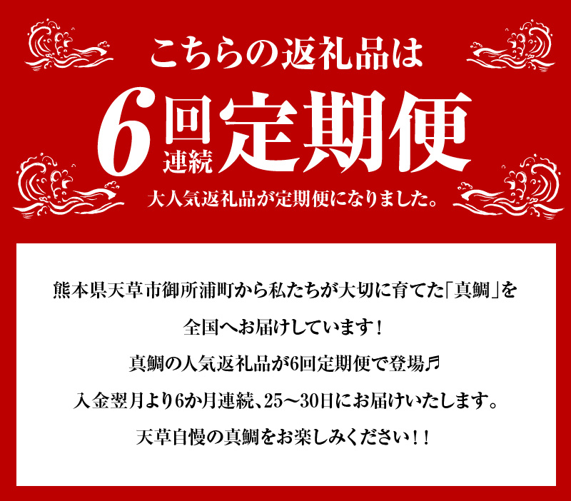 S106-T01_【定期便6回】真鯛のバラエティー定期便