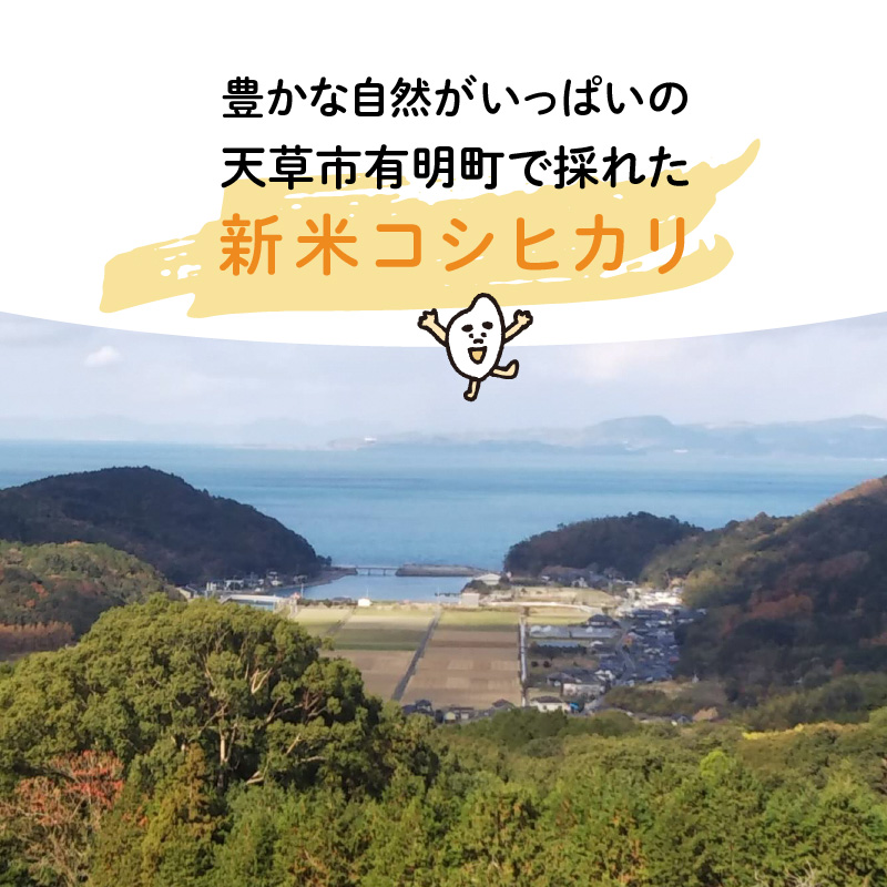 S108-004A_〈令和8年産〉熊本県天草産　天草の大地の恵み　新米コシヒカリ12㎏【先行予約】